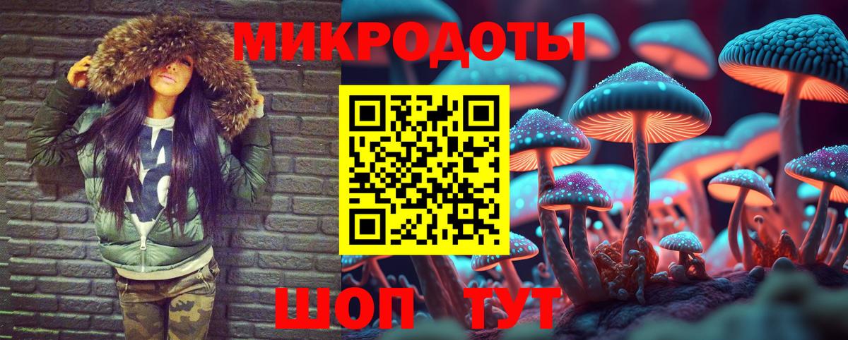 Псилоцибиновые грибы Psilocybe Лянтор