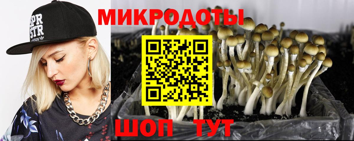 Псилоцибиновые грибы MAGIC MUSHROOMS  Вход с VPN  Лянтор  Псилоцибиновые грибы мицелий 